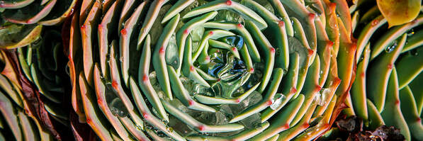 Lebensqualität steigern