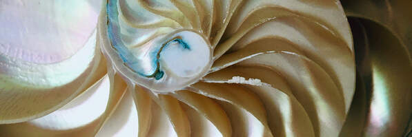 Zusammenhänge verstehen