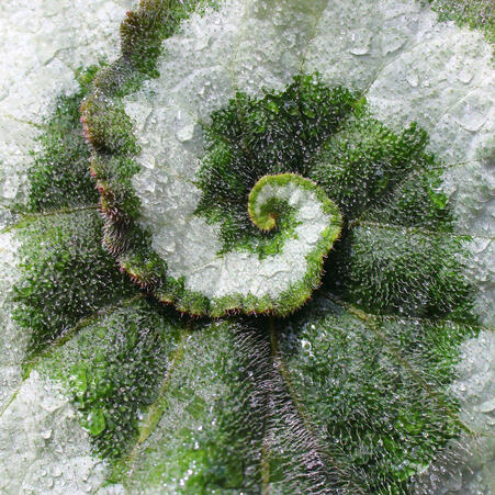 Ergonomie / Arbeitsplatz Beratung